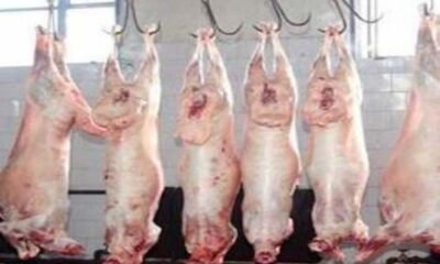 Mutton to sell Rs 480 a kilogram
