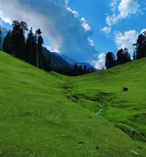 Mohu Valley: The unexplored paradise