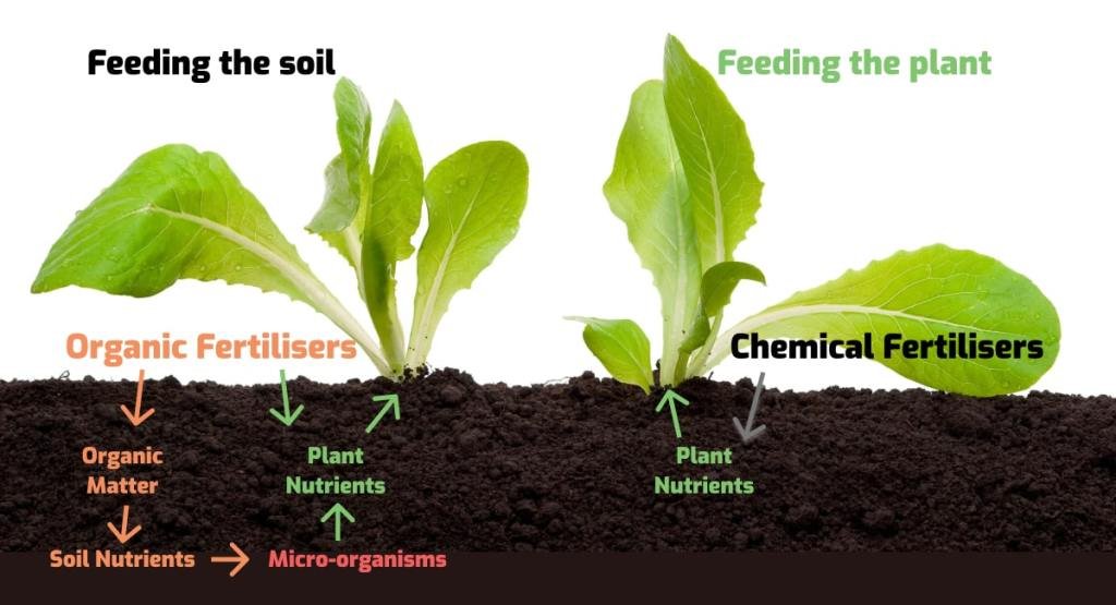 Chemical Pesticides and Environment Sustainability
